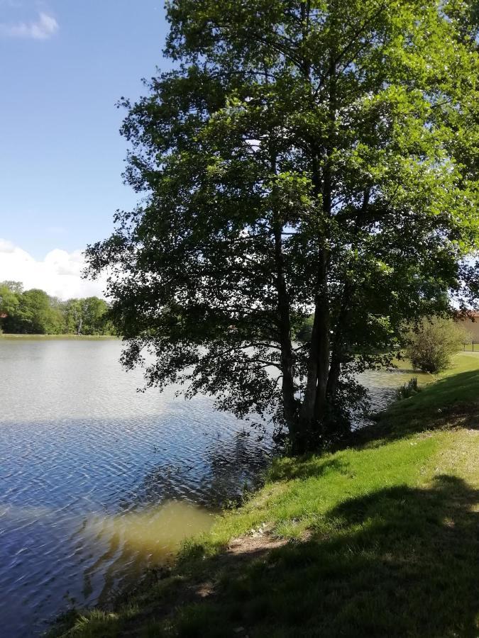 Au Clos De L'Etang Ravel Екстериор снимка